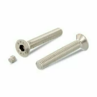 Винт ART 9141 А2 с потайной головкой и внутренним шестигранником+антивандальная заглушка М8х10 изображения