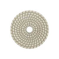 Алмазный гибкий шлифовальный круг №100 100мм изображения