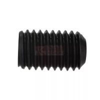 Винт DIN 916 установочный с внутренним шестигранником и засверленным остриём M5x6 класс прочности 12.9 изображения