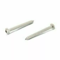 Винт DIN 7981 А2 самонарезающий с полукруглой головкой, форма С, квадратный шлиц SQ 4,8х80 изображения