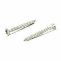 Винт DIN 7983 H А2 самонарезающий с полупотайной головкой форма С, крестообразный шлиц PH 4,2х25 изображения
