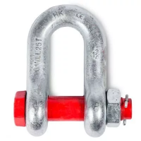 Скоба G 2150 грузоподъемная D22 (4.75 тн) изображения