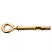 Анкер с кольцом 10x100 изображения