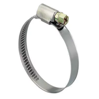 Хомут червячный 32-50 W1 изображения