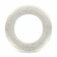 Шайба DIN 7989 А2 плоская, усиленная М10 изображения