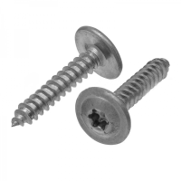 Винт ART 9999 А2 самонарезающий с прессшайбой звездообразный шлиц 4,8х25 TX25 изображения