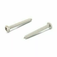 Винт DIN 7981 Z А4 самонарезающий с полукруглой головкой, форма С, крестообразный шлиц PZ 4,2х38 изображения