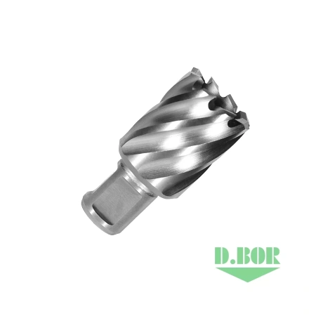 Сверло D.BOR по металлу, корончатое с хв. Weldon 19 мм (3/4'') HSS-Co 13,0*30/55 изображения